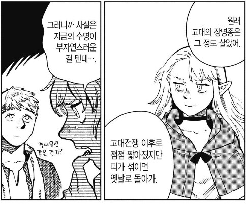 혼혈 엘프의 슬픔_3.jpg