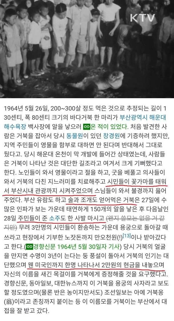 전설의 부산 풀코스.jpg_1.jpg