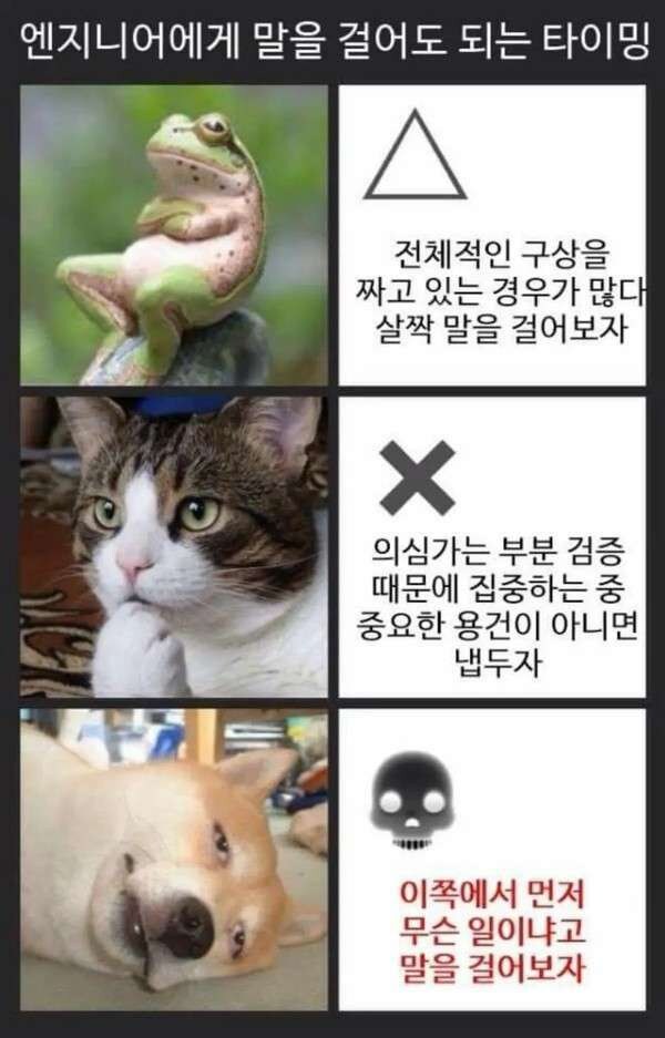 개발자에게 말걸때 tip_1.jpg