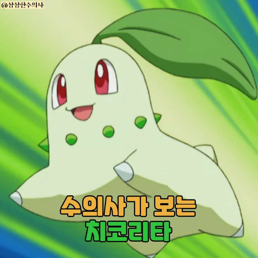 수의사가 말하는 치코리타 기름의 정체_1.webp
