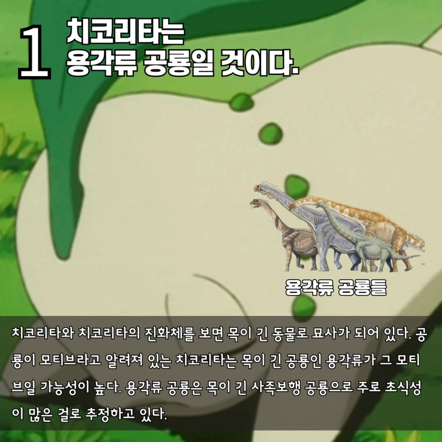 수의사가 말하는 치코리타 기름의 정체_2.webp