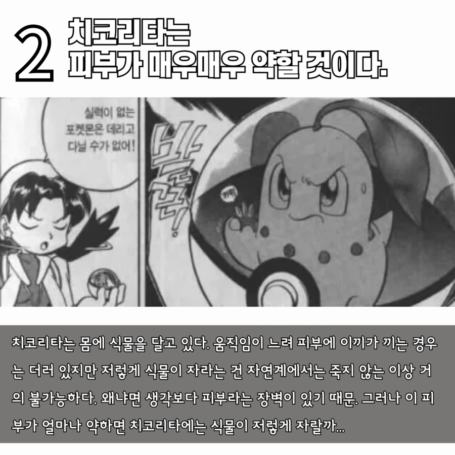 수의사가 말하는 치코리타 기름의 정체_3.webp