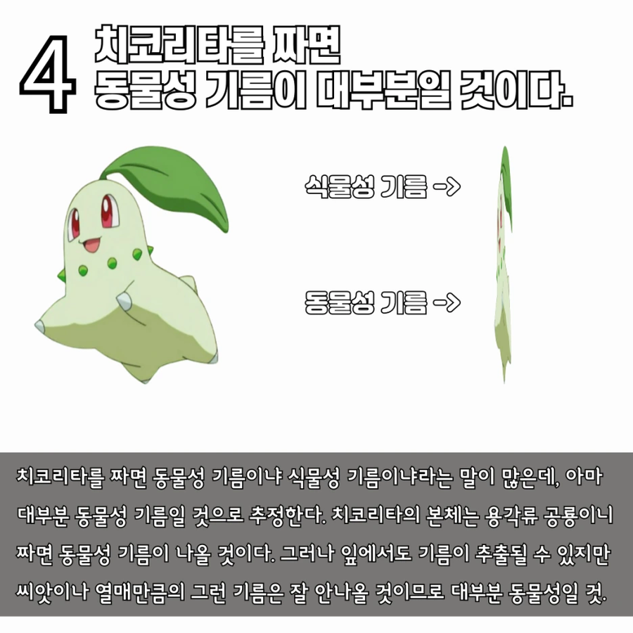 수의사가 말하는 치코리타 기름의 정체_5.webp