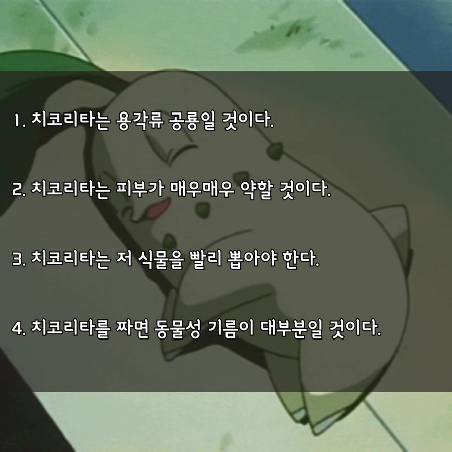 수의사가 말하는 치코리타 기름의 정체_6.webp