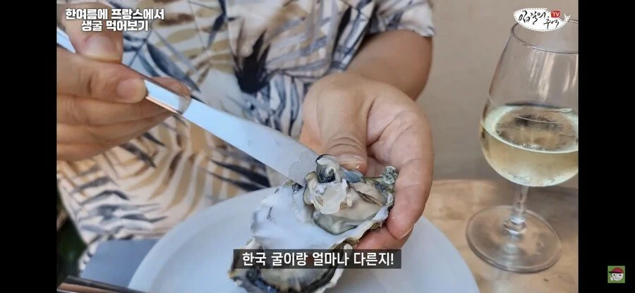 수산물 전문 유튜버가 해외 굴 먹어보고 느낀점_1.webp