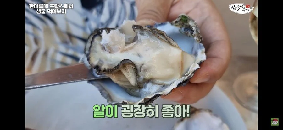 수산물 전문 유튜버가 해외 굴 먹어보고 느낀점_2.webp