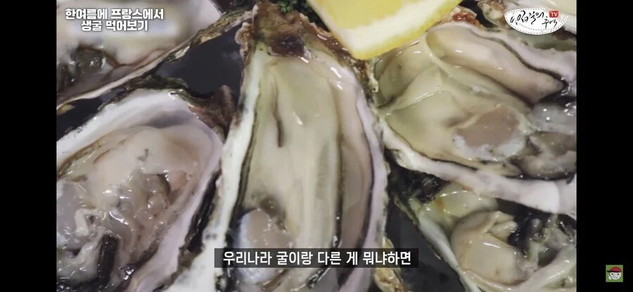 수산물 전문 유튜버가 해외 굴 먹어보고 느낀점_4.webp