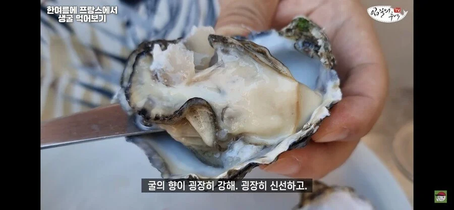 수산물 전문 유튜버가 해외 굴 먹어보고 느낀점_5.webp