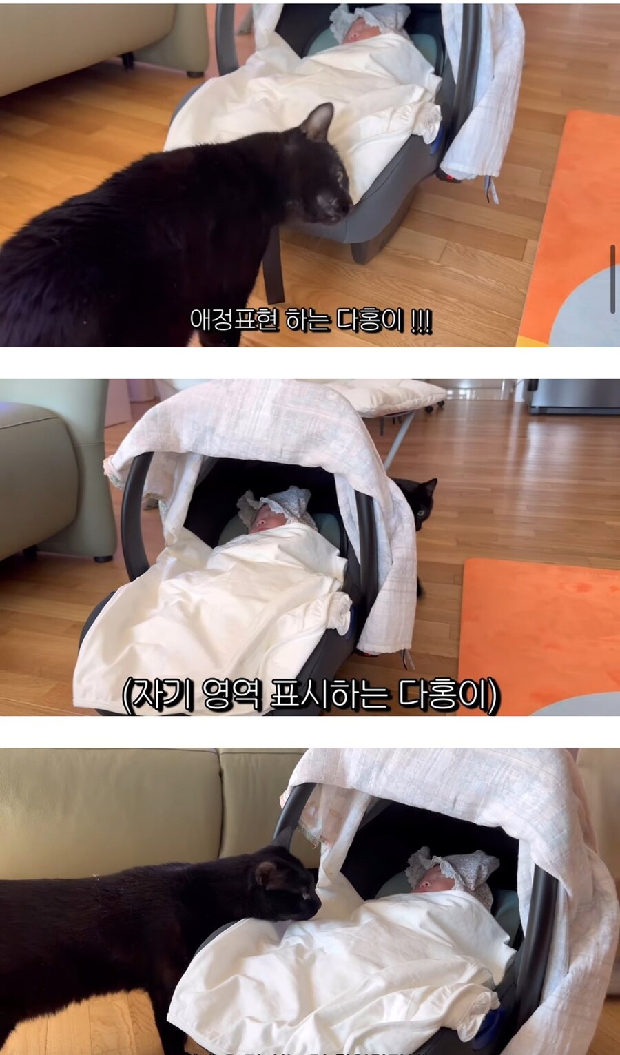 완전체가 된 박수홍네 가족_4.jpg
