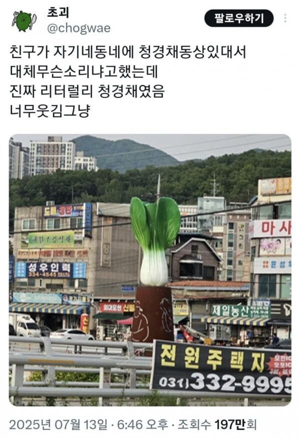 친구가 자기 동네에 청경채 동상 있다고 해서 무슨 소리냐 했는데..._1.jpg