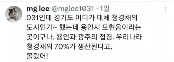 친구가 자기 동네에 청경채 동상 있다고 해서 무슨 소리냐 했는데..._3.jpg