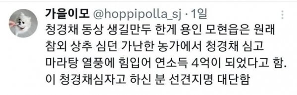 친구가 자기 동네에 청경채 동상 있다고 해서 무슨 소리냐 했는데..._5.jpg
