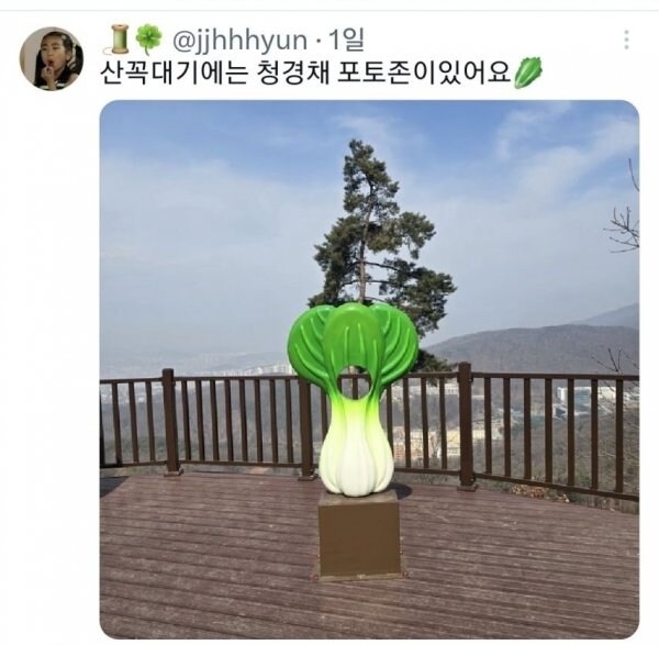 친구가 자기 동네에 청경채 동상 있다고 해서 무슨 소리냐 했는데..._4.jpg