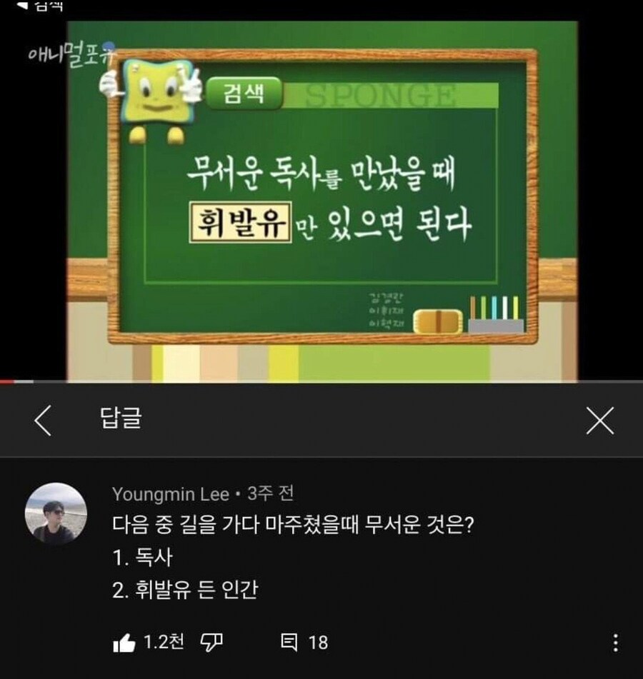 길에서 독사를 만났을 때 대처하는 방법.jpg_1.png