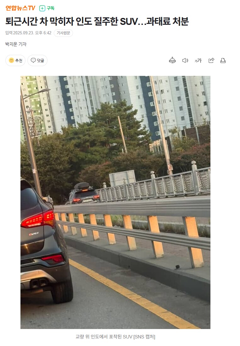 인도가 비었잖아.news_1.png