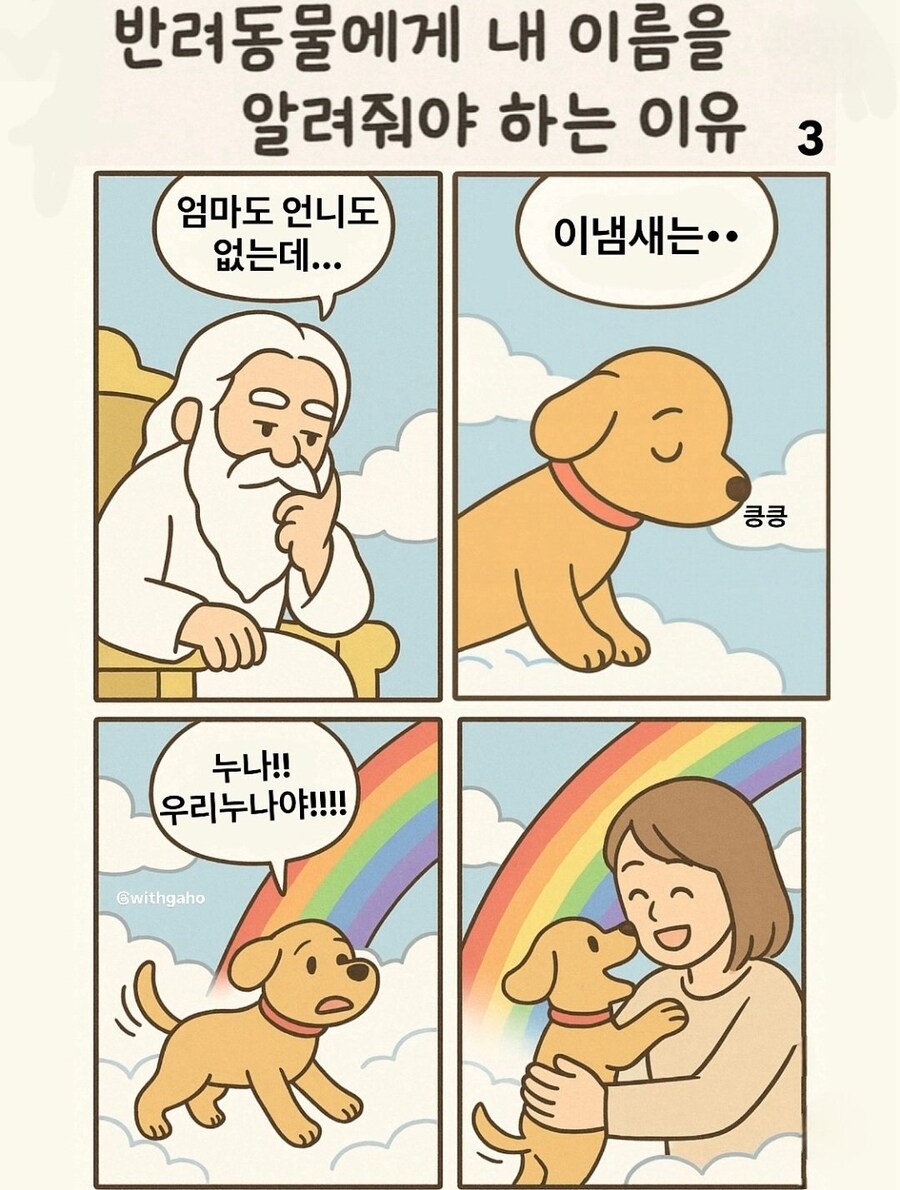 반려동물에게 내 이름을 알려줘야 하는 이유.jpg_3.jpg