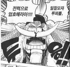 원피스 흰수염이 루피를 지키라고 한 이유_3.jpg