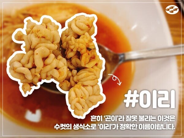 의외로 호불호 씨게 갈리는 요리 재료.JPG_3.jpg