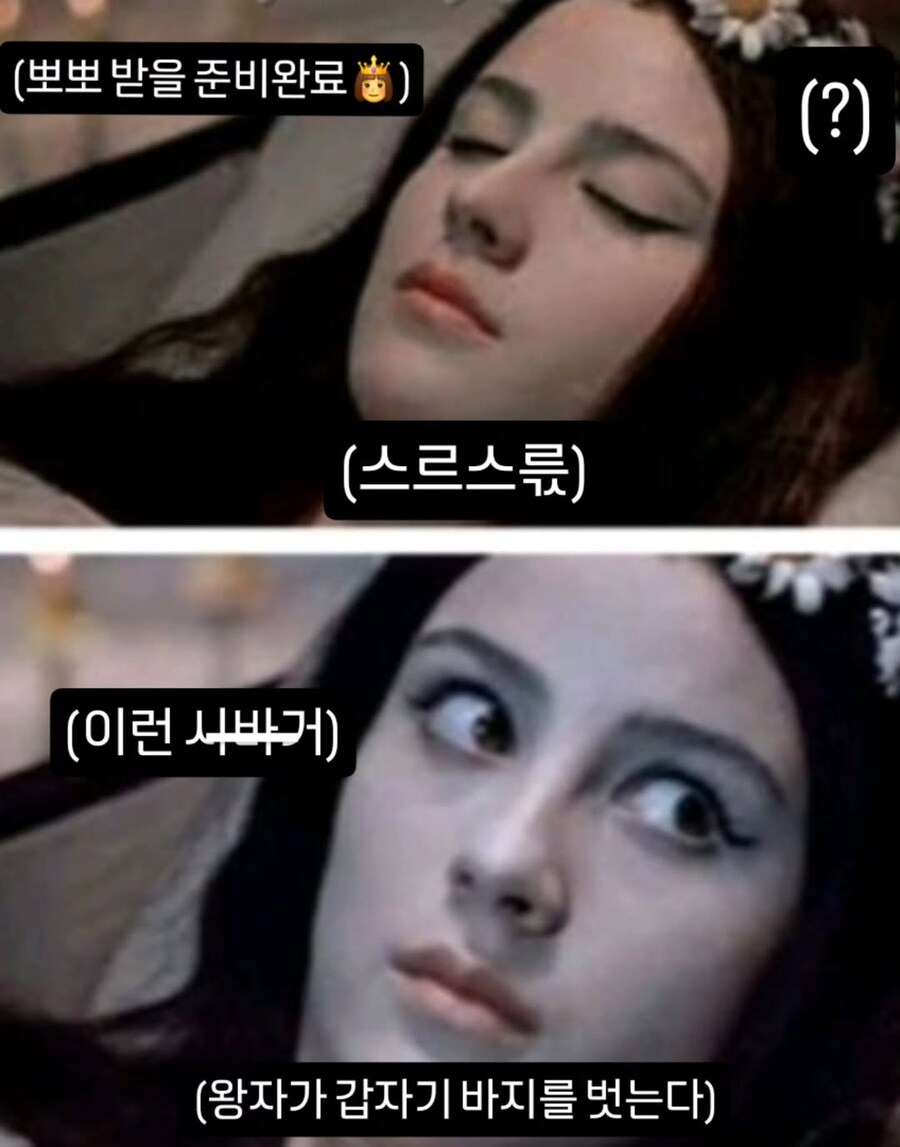잠자는 숲 속의 공주가 깬 이유_1.png