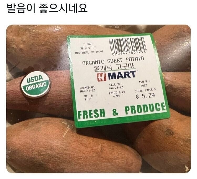 재미 교포가 운영하는 마트.jpg_1.jpg