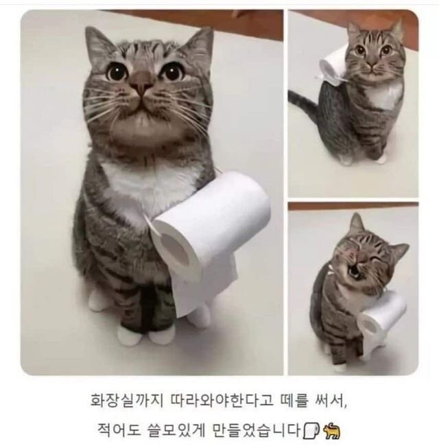 고양이 키우는 이유_1.jpg