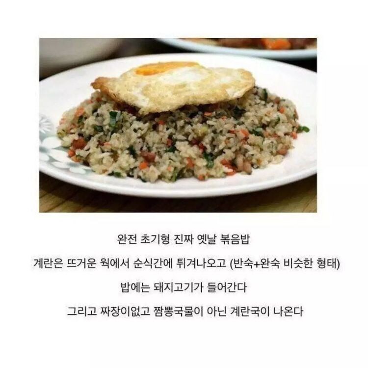 중식볶음밥의 퇴화 과정.JPG_1.jpg