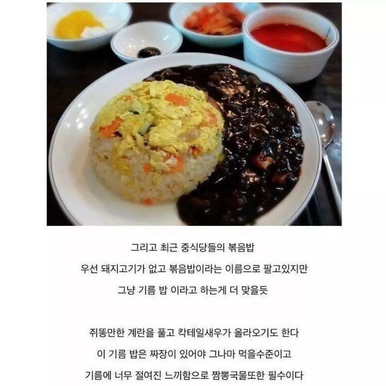중식볶음밥의 퇴화 과정.JPG_3.jpg
