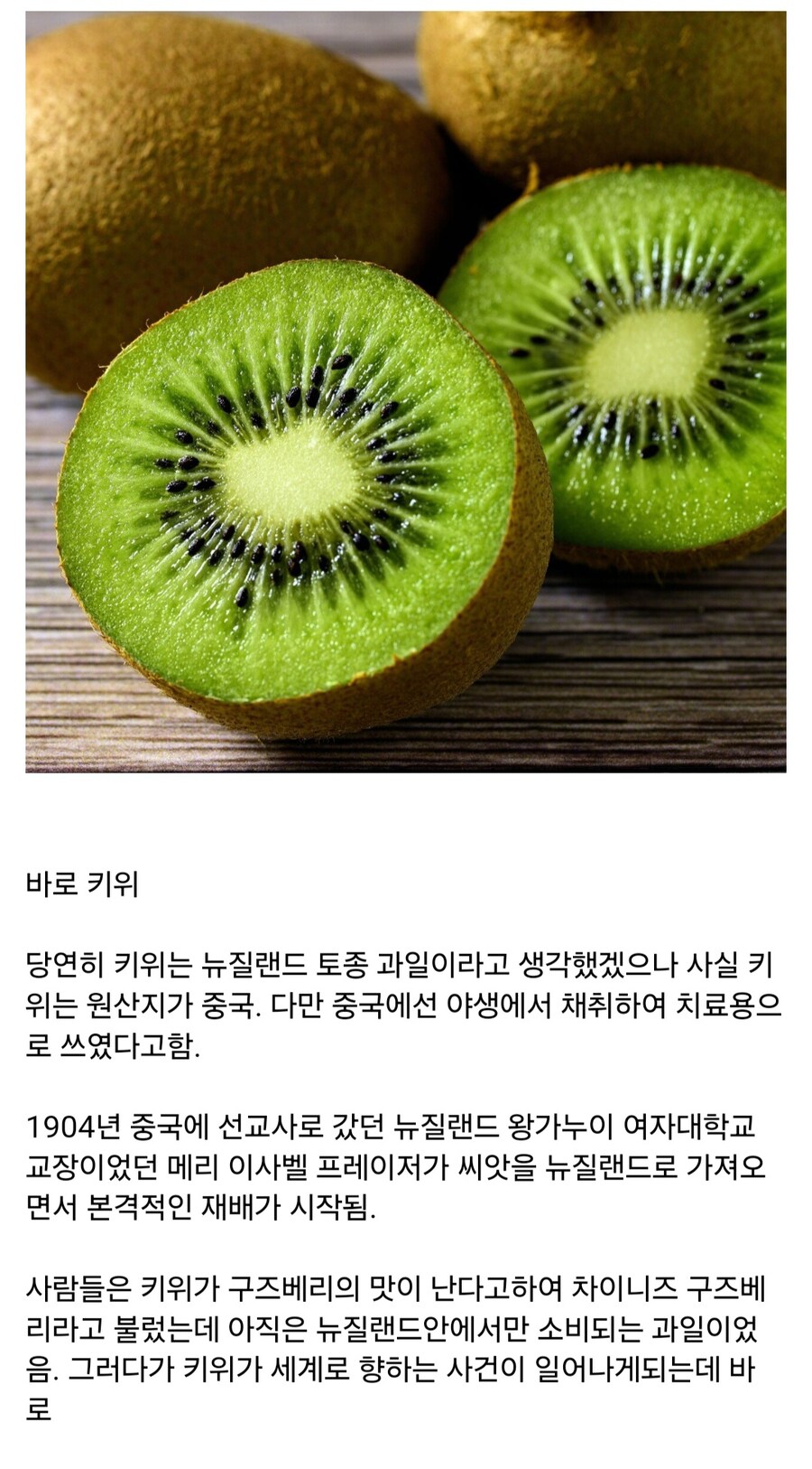 의외로 중국이 원산지인 과일_1.jpg