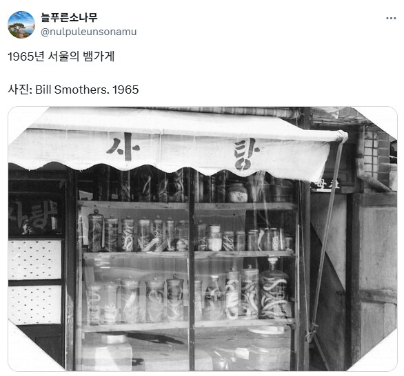 1965년 서울 사탕 가게.jpg_1.png