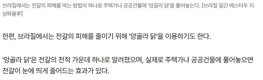 브라질 독전갈이 유행하면서 퍼진 새로운 반려동물_3.png