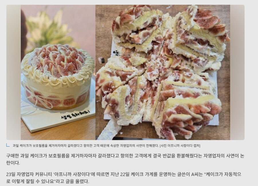 케이크가 저절로 갈라졌다고요