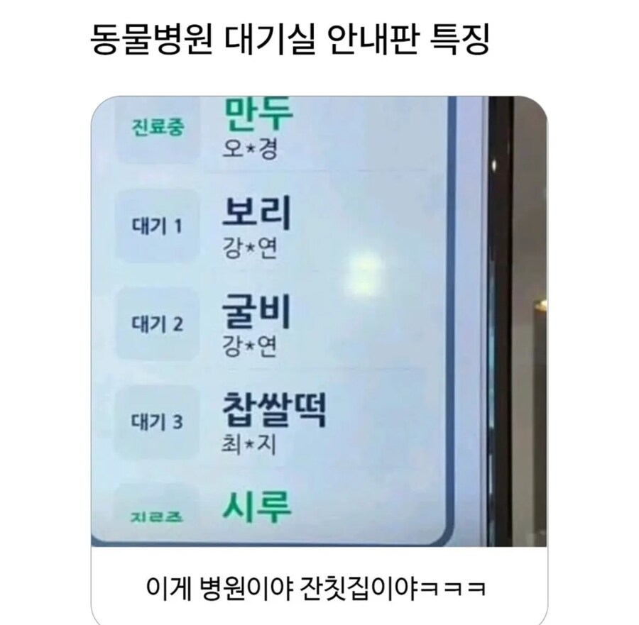흔한 동물병원 대기실의 광경_1.png