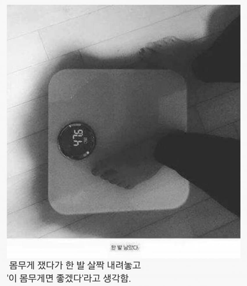 씹돼지들 특징_5.jpg