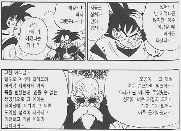 드래곤볼) 그러고 보면 드볼은 과거 회상으로 시간 잡아 먹는건 없네_1.jpg