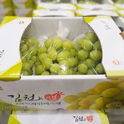샤인머스캣 왠만하면 실패 안하는 브랜드_1.jpg