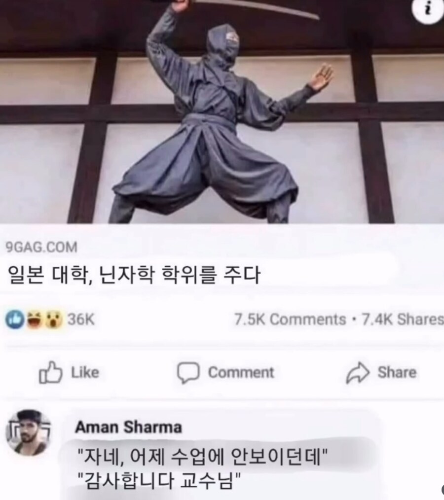 일본 대학, 닌자학 학위준다_1.png