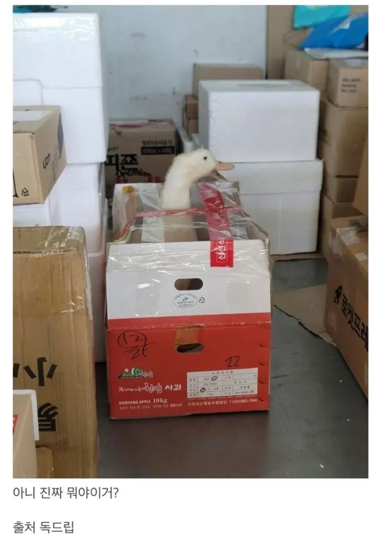 의외로 불법이 아닌거_1.webp