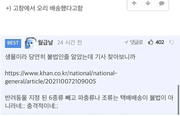 의외로 불법이 아닌거_2.webp