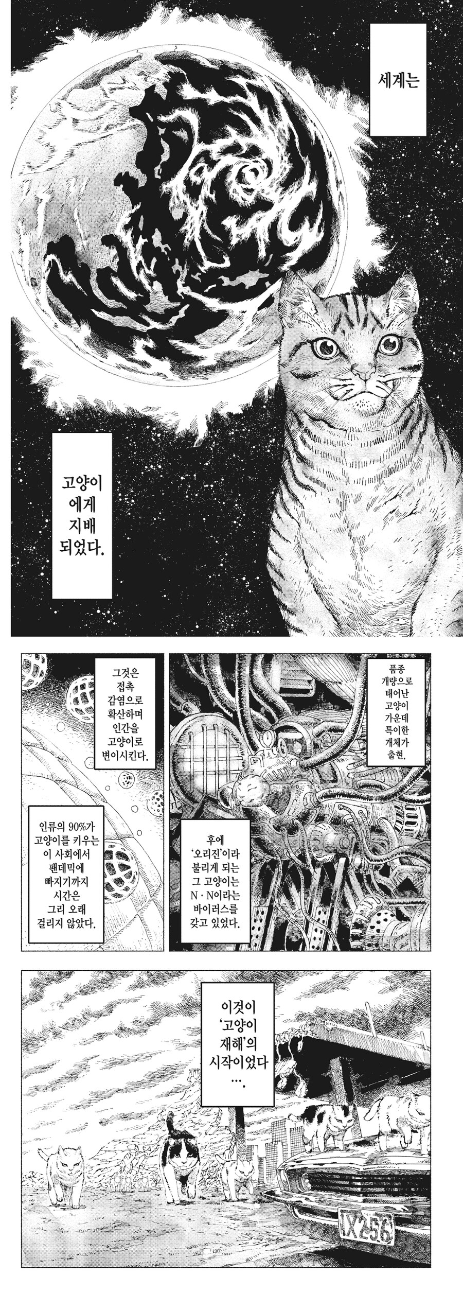 캣맘들에겐 천국인 재앙_1.jpg