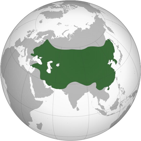 역사)