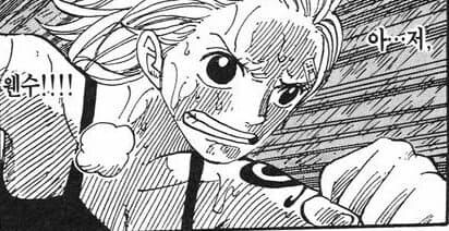 루피가 맨날 나미한테 처맞고 사는 이유.onepiece_15.jpg