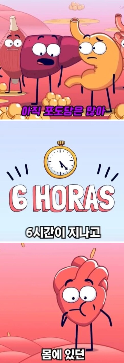 36시간 단식이 몸에 좋은 이유_4.png