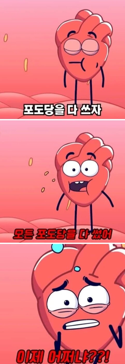 36시간 단식이 몸에 좋은 이유_5.png
