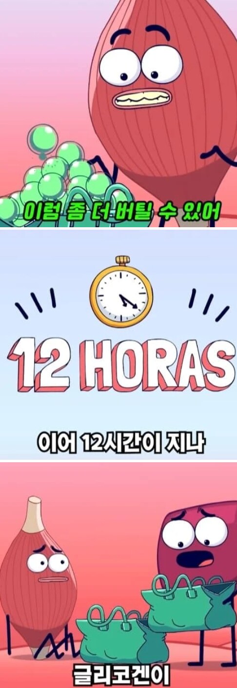 36시간 단식이 몸에 좋은 이유_8.png