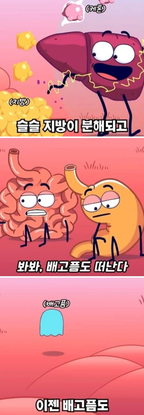 36시간 단식이 몸에 좋은 이유_10.png
