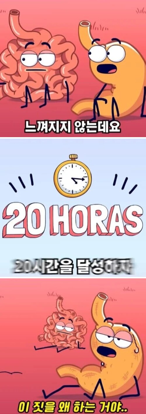 36시간 단식이 몸에 좋은 이유_11.png