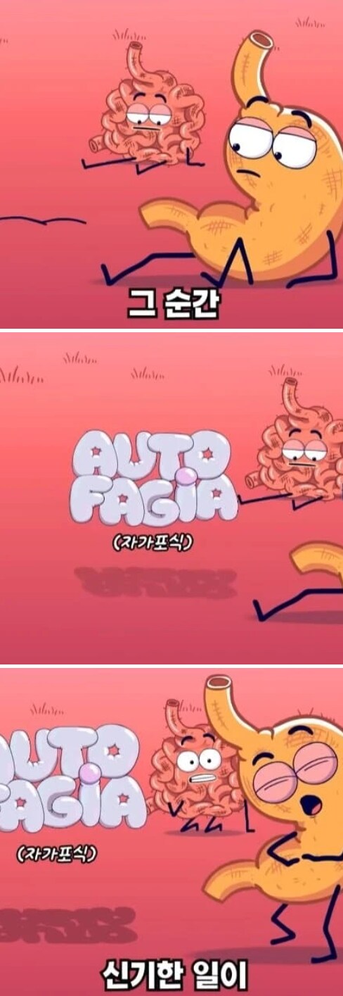 36시간 단식이 몸에 좋은 이유_12.png