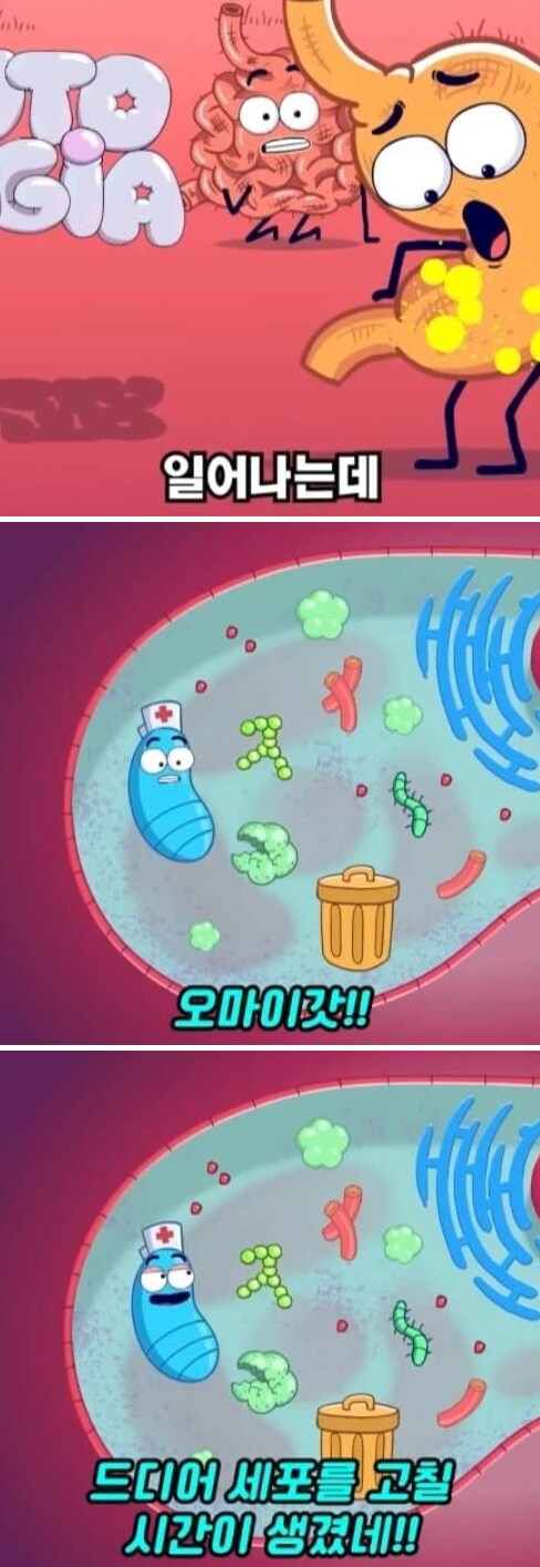 36시간 단식이 몸에 좋은 이유_13.png