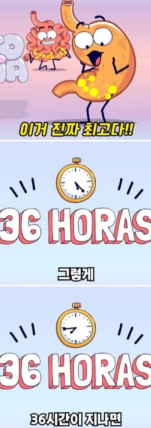36시간 단식이 몸에 좋은 이유_15.png