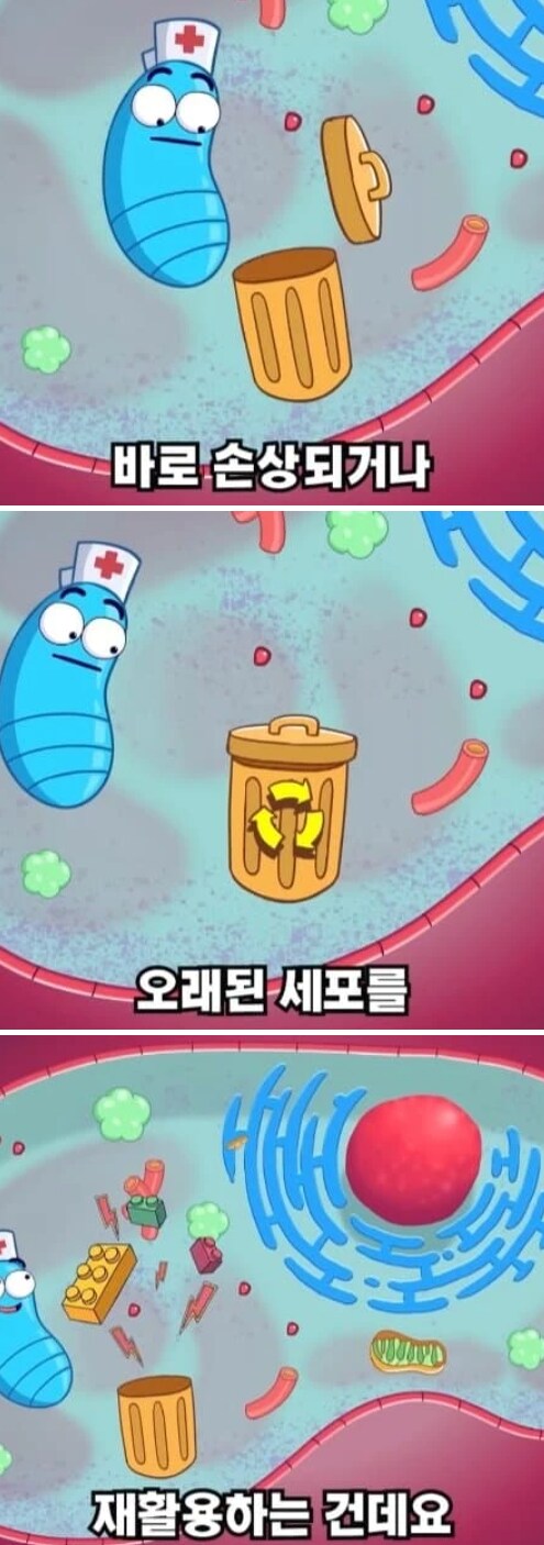 36시간 단식이 몸에 좋은 이유_14.png